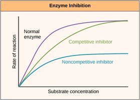 Graph of enzyme inhibition: normal, competitive, and noncompetitive