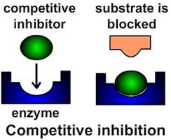 Diagram of competitive inhibition