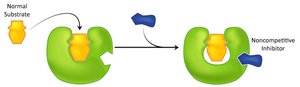 Diagram of noncompetitive inhibition