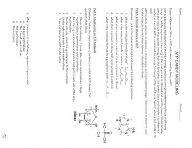 ATP molecule diagram
