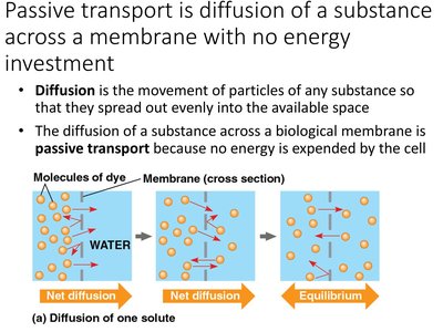 Diagram showing passive diffusion across a membrane