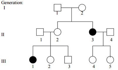 Pedigree showing recessive inheritance of PKU