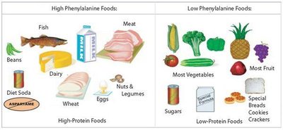 Foods high and low in phenylalanine