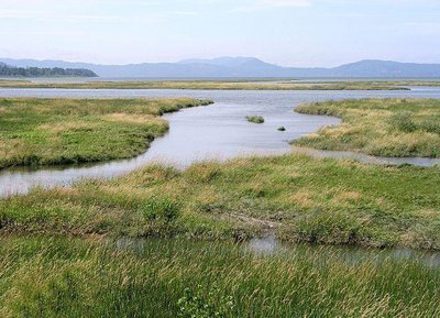Columbia River Estuary