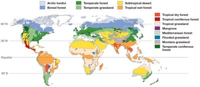 Global biome distribution map