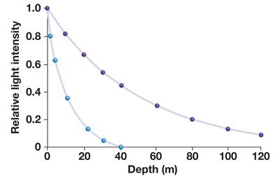 Decline of light intensity with water depth in seawater and freshwater
