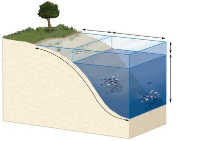 Lake and pond zones: littoral, limnetic, benthic, photic, aphotic