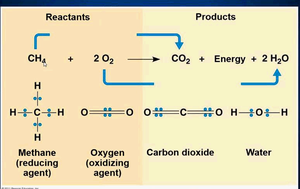 Redox reaction example: methane and oxygen