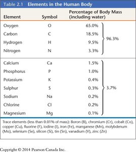 Table of elements in the human body