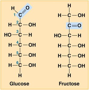 Structural formulas of glucose and fructose