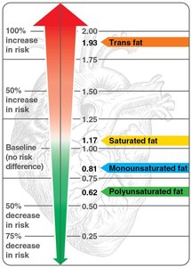 Relative health risks of different types of fats