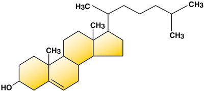 Structure of cholesterol