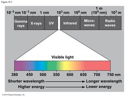 Electromagnetic spectrum highlighting visible light