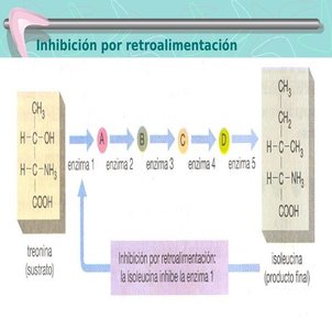 Inhibición competitiva de enzimas