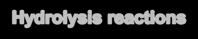 Hydrolysis reactions break polymers apart into monomers; requires water and an enzyme