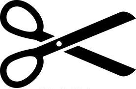 Scissors representing the one snip test for monophyly
