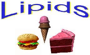 Lipids in food