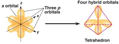 s and p orbitals and hybridization