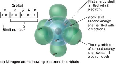 Nitrogen atom showing electrons in orbitals