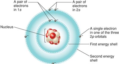 Nitrogen atom showing electrons in shells