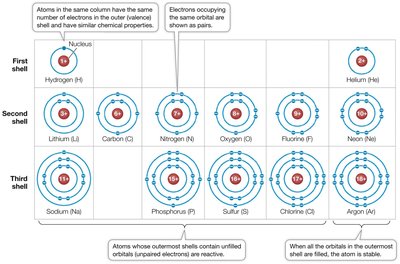 Electron shell diagrams for various elements
