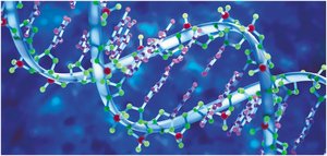 DNA double helix molecular structure