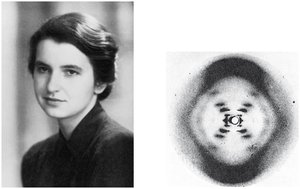 X-ray crystallography image of DNA
