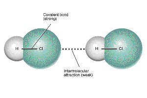 Covalent bond and intermolecular attraction in HCl