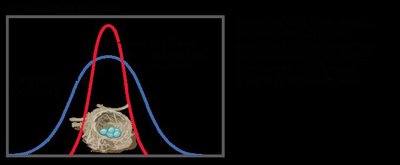 Graph showing stabilizing selection with reduced variance
