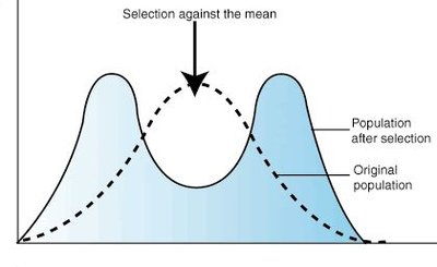 Graph showing disruptive selection with selection against the mean