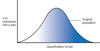 Bell-shaped curve showing normal distribution of a trait in a population