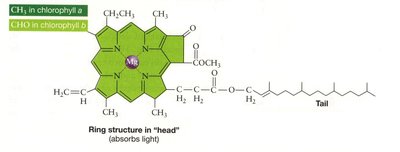Electromagnetic spectrum and sunlight