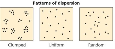 Patterns of dispersion: clumped, uniform, random