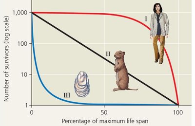 Survivorship curves: Type I, II, III