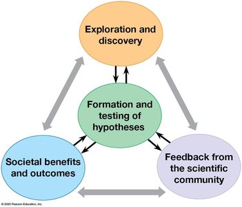 The scientific method: exploration, hypothesis, feedback, societal outcomes
