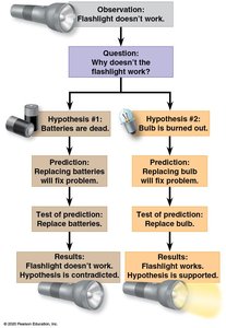Scientific method flowchart: flashlight example