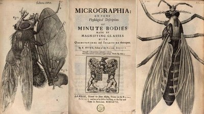 Hooke's Micrographia illustrations