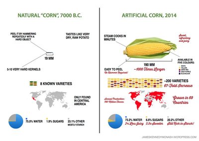 Comparison of natural and artificial corn