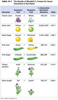 Table summarizing Mendel's F2 results for seven pea plant characters