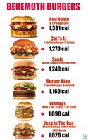 Calories in burgers