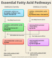 Essential fatty acid pathways