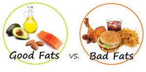 Unhealthy fat infographic