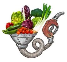 Vegetables as fuel
