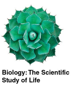Biology: The Scientific Study of Life