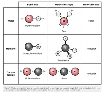 Table comparing bond type, shape, and polarity of water, methane, and CO2