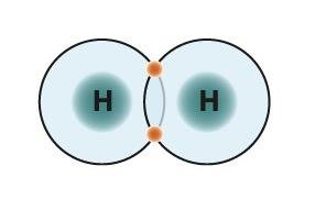 Hydrogen bonds between bases in DNA