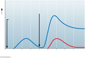 Graph comparing primary and secondary immune responses
