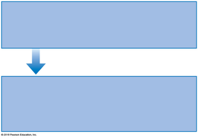 Diagram of innate external and internal barriers