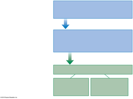 Comparison of innate and adaptive immune responses