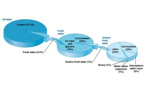 Global distribution of water